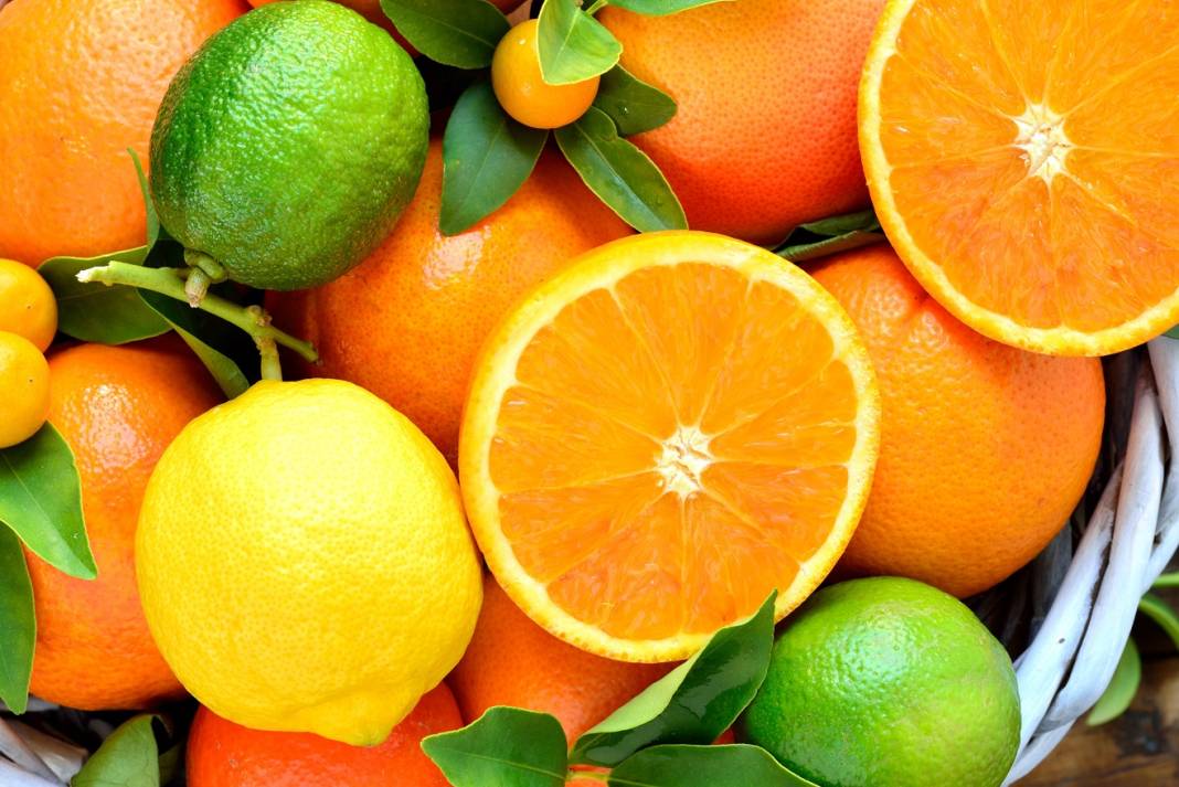 Aynı familyaya sahip portakal ve limon neden farklı kokar? 12